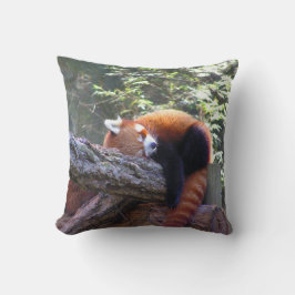 Spipande röd panda kudde