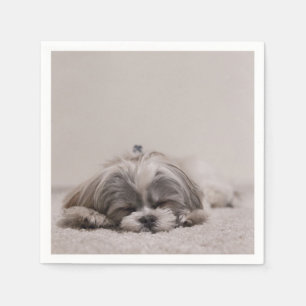 Spipande Shih tzu Cocktail Napkins, sipprande Hund Pappersservett