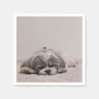 Spipande Shih tzu Cocktail Napkins, sipprande Hund Pappersservett