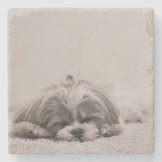 Spipande Shih Tzu Underlägg, Spipande Hund Stenunderlägg