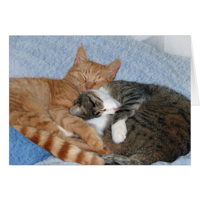 Spipande sötsaker hälsningskort (Framsidan Horizontal)