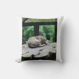 Spipande stor katt kudde