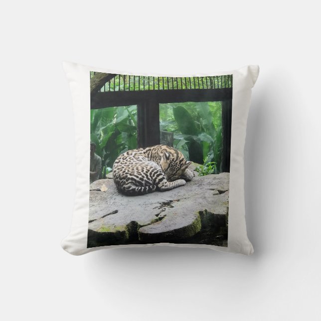 Spipande stor katt kudde (Framsida)