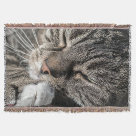 Spipande tabb mysfilt