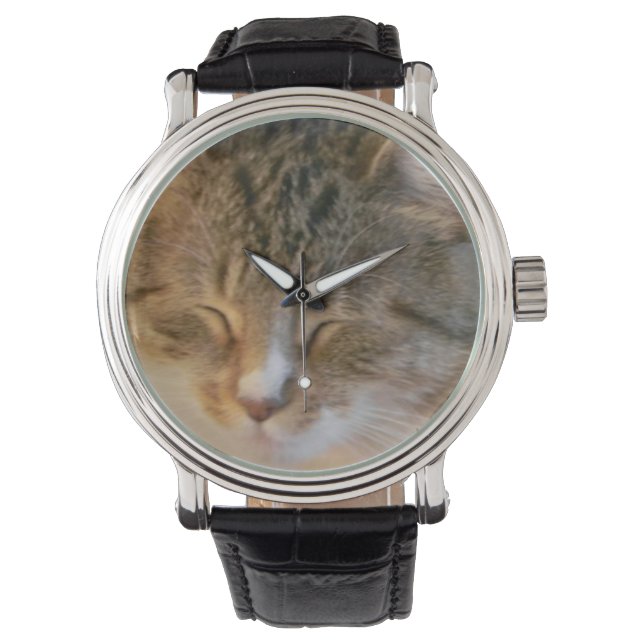 Spipande Tabby katt Armbandsur (Framsida)