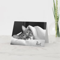 Spipande Tabby katt för att komma snart