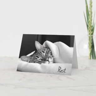 Spipande Tabby katt för att komma snart Kort