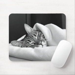 Spipande Tabby katt Musmatta