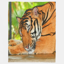 Spipande Tiger Fleecefilt