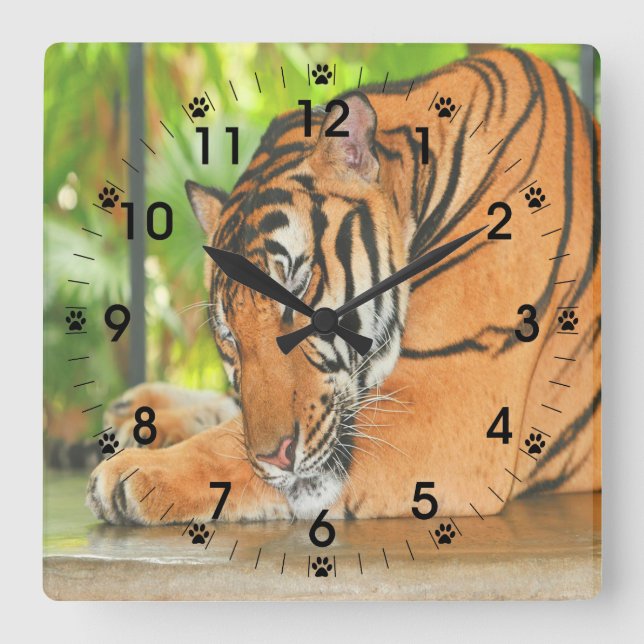 Spipande Tiger Fyrkantig Klocka (Framsida)