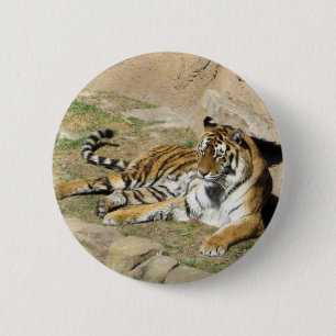 Spipande Tiger Knapp