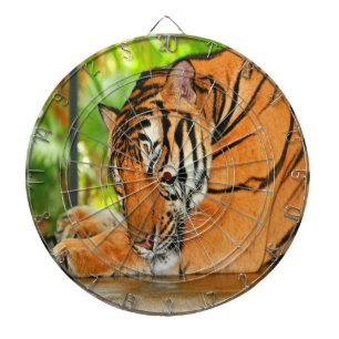 Spipande Tiger Piltavla