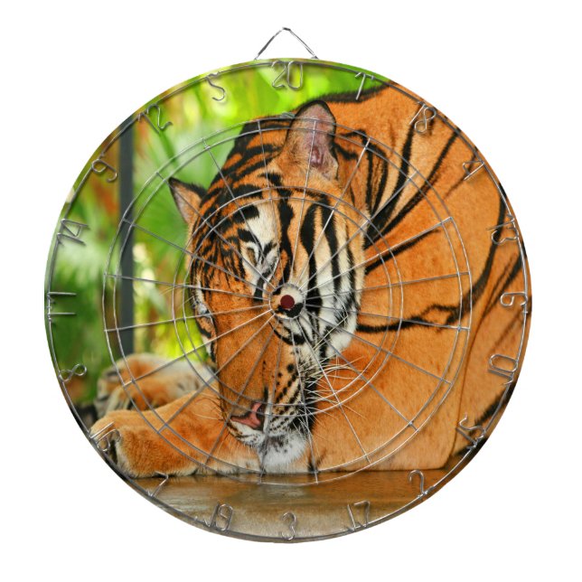 Spipande Tiger Piltavla (Framsidan)