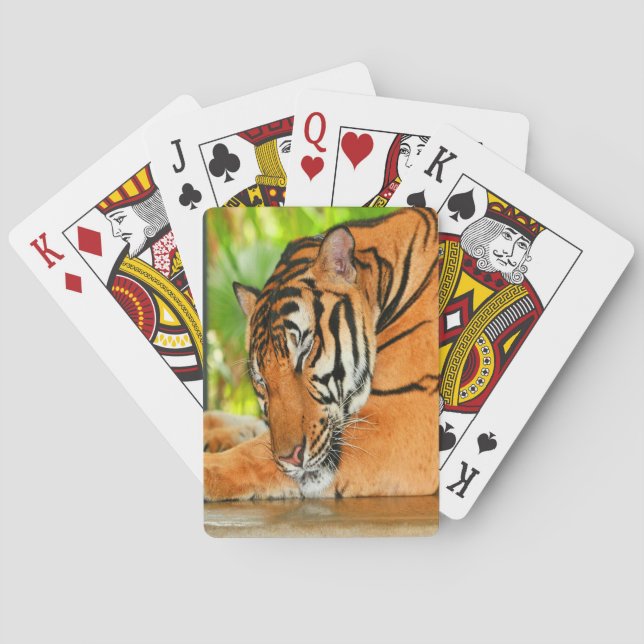 Spipande Tiger Spel Kort (Baksidan)