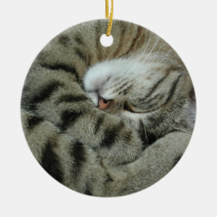 Spipande tigerkatt julgransprydnad keramik