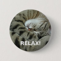 Spipande tigerkatt