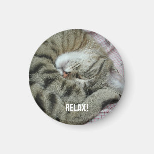 Spipande tigerkatt magnet