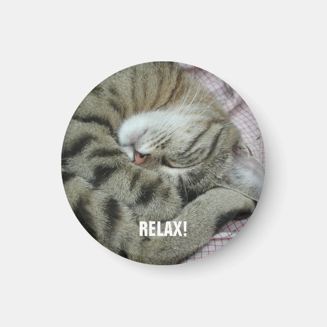 Spipande tigerkatt magnet (Framsidan)