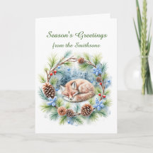 Spipfox i Helgdag Vinterutandning