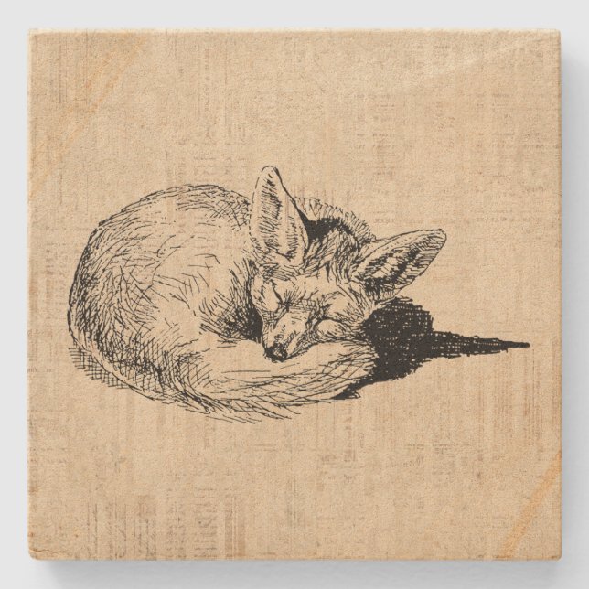 Spipfox Illustrated Art Cute Vintage Animal Stenunderlägg (Framsidan)