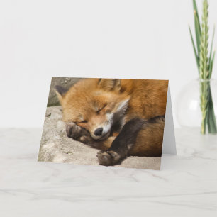 Spipfoxskydd Kort