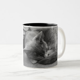 Spipkatt mugg
