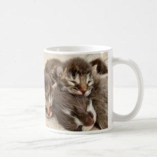 Spipkattungar Kaffemugg