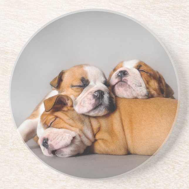 Spipor av engelska bulldog underlägg sandsten (Framsidan)