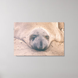 Spipsäl Canvastryck