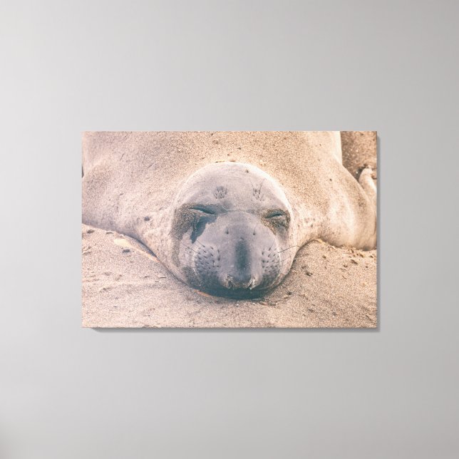 Spipsäl Canvastryck (Framsida)