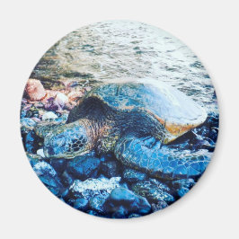 "Spipturtle" Magnet