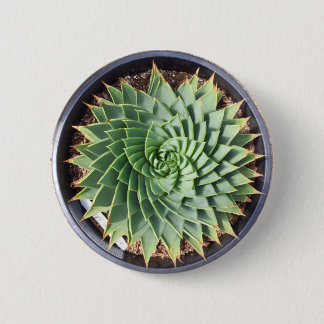 Spiral Aloe knäppas Knapp