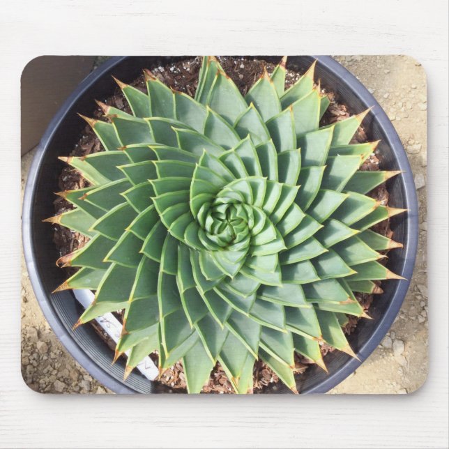 Spiral Aloe Mousepad Musmatta (Framsidan)
