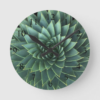 Spiral Aloe Polyphylla Succulent Rund Klocka