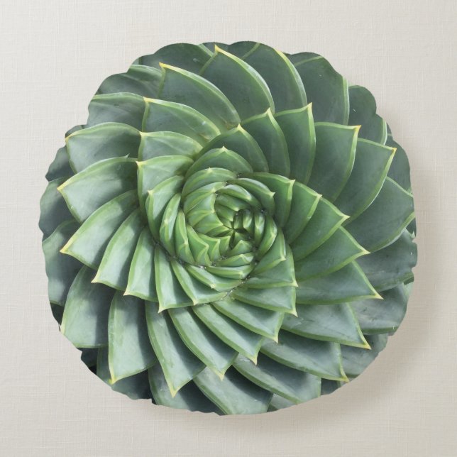 Spiral AloePolyphylla suckulent Rund Kudde (Framsidan)