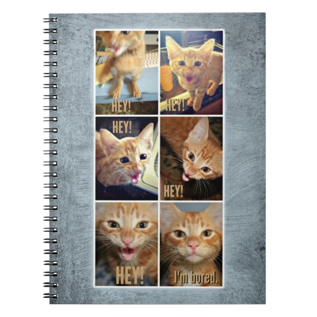 Spiral anteckningsbok för enorma saker (Framsidan)