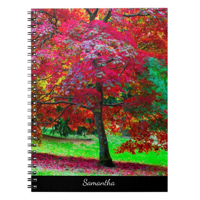 Spiral anteckningsbok för japansk lönn (Framsidan)