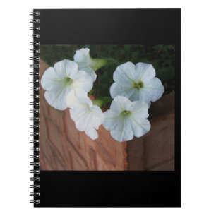 Spiral anteckningsbok med älskvärda vitPetunias