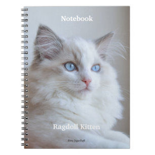 Spiral anteckningsbok - Ragdoll kattunge Boris
