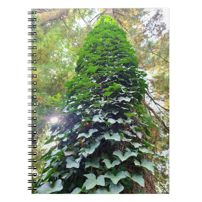 Spiral bärbar dator anteckningsbok (Framsidan)