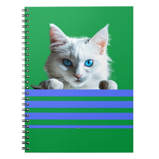Spiral fotopatbok anteckningsbok (Framsidan)