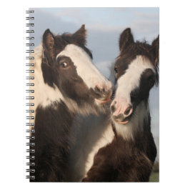 Spiral fotopatbok anteckningsbok