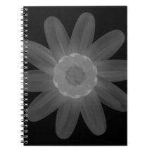 Spiral fotopatbok
