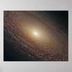 Spiral galax för NGC 2841 Poster