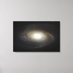 Spiral galax M81 Canvastryck
