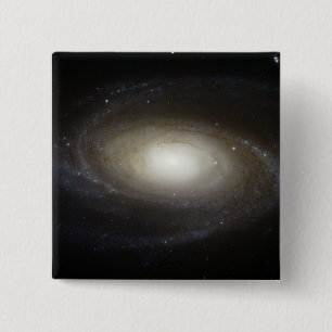 Spiral galax M81 Knapp