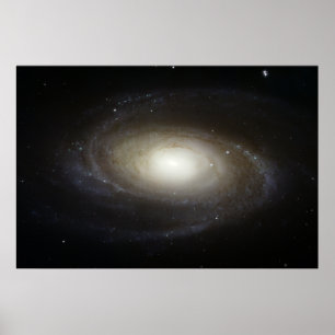 Spiral galax M81 Poster