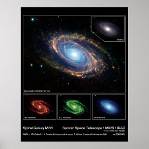 Spiral galax M81 - Spitzer utrymmeteleskop Poster