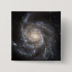 Spiral galax smutsigare 101 knapp