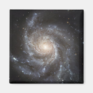 Spiral galax smutsigare 101 magnet